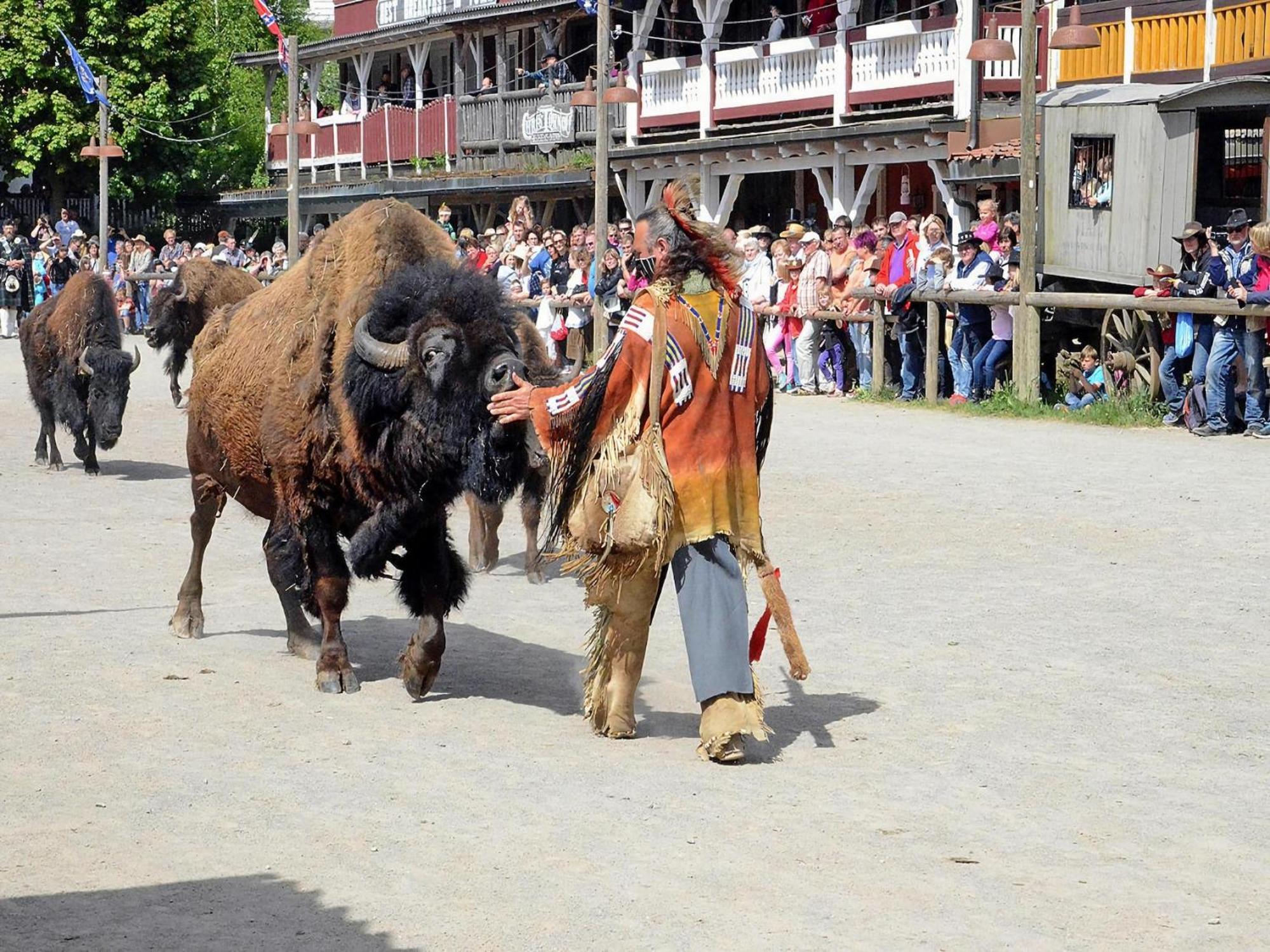 Harz Holiday Park, Hasselfelde Ngoại thất bức ảnh